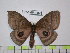  ( - BC-FMP-1565)  @12 [ ] Copyright (2010) Unspecified Research Collection of Frank Meister