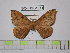  ( - BC-FMP-1571)  @12 [ ] Copyright (2010) Unspecified Research Collection of Frank Meister
