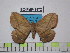  ( - BC-FMP-1572)  @12 [ ] Copyright (2010) Unspecified Research Collection of Frank Meister