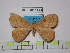  ( - BC-FMP-1574)  @14 [ ] Copyright (2010) Unspecified Research Collection of Frank Meister