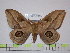  ( - BC-FMP-1575)  @11 [ ] Copyright (2010) Unspecified Research Collection of Frank Meister