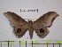  ( - BC-FMP-1588)  @12 [ ] Copyright (2010) Unspecified Research Collection of Frank Meister