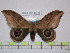  ( - BC-FMP-1590)  @13 [ ] Copyright (2010) Unspecified Research Collection of Frank Meister