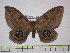  ( - BC-FMP-1592)  @11 [ ] Copyright (2010) Unspecified Research Collection of Frank Meister