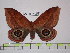  ( - BC-FMP-1594)  @11 [ ] Copyright (2010) Unspecified Research Collection of Frank Meister