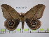  ( - BC-FMP-1595)  @11 [ ] Copyright (2010) Unspecified Research Collection of Frank Meister