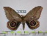  ( - BC-FMP-1596)  @11 [ ] Copyright (2010) Unspecified Research Collection of Frank Meister