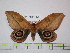  ( - BC-FMP-1598)  @11 [ ] Copyright (2010) Unspecified Research Collection of Frank Meister