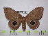  ( - BC-FMP-1607)  @15 [ ] Copyright (2010) Unspecified Research Collection of Frank Meister