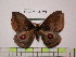  ( - BC-FMP-1623)  @13 [ ] Copyright (2010) Unspecified Research Collection of Frank Meister