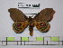  ( - BC-FMP-1656)  @12 [ ] Copyright (2010) Unspecified Research Collection of Frank Meister
