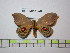  ( - BC-FMP-1658)  @12 [ ] Copyright (2010) Unspecified Research Collection of Frank Meister