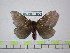  ( - BC-FMP-1690)  @13 [ ] Copyright (2010) Unspecified Research Collection of Frank Meister