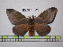  ( - BC-FMP-1729)  @14 [ ] Copyright (2010) Unspecified Research Collection of Frank Meister