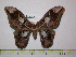  ( - BC-FMP-1748)  @14 [ ] Copyright (2010) Unspecified Research Collection of Frank Meister