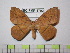  ( - BC-FMP-1792)  @13 [ ] Copyright (2010) Unspecified Research Collection of Frank Meister