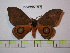  ( - BC-FMP-1803)  @13 [ ] Copyright (2010) Unspecified Research Collection of Frank Meister