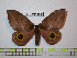  ( - BC-FMP-1809)  @13 [ ] Copyright (2010) Unspecified Research Collection of Frank Meister