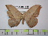  ( - BC-FMP-1815)  @12 [ ] Copyright (2010) Unspecified Research Collection of Frank Meister