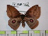  ( - BC-FMP-1832)  @13 [ ] Copyright (2010) Unspecified Research Collection of Frank Meister