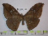  ( - BC-FMP-1833)  @11 [ ] Copyright (2010) Unspecified Research Collection of Frank Meister