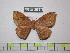  ( - BC-FMP-1848)  @13 [ ] Copyright (2010) Unspecified Research Collection of Frank Meister