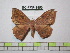  ( - BC-FMP-1850)  @13 [ ] Copyright (2010) Unspecified Research Collection of Frank Meister