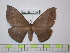  ( - BC-FMP-1856)  @13 [ ] Copyright (2010) Unspecified Research Collection of Frank Meister