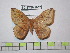  ( - BC-FMP-1857)  @12 [ ] Copyright (2010) Unspecified Research Collection of Frank Meister