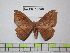  ( - BC-FMP-1858)  @13 [ ] Copyright (2010) Unspecified Research Collection of Frank Meister