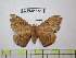  ( - BC-FMP-1859)  @13 [ ] Copyright (2010) Unspecified Research Collection of Frank Meister