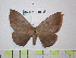  ( - BC-FMP-1860)  @13 [ ] Copyright (2010) Unspecified Research Collection of Frank Meister