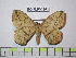  ( - BC-FMP-1861)  @13 [ ] Copyright (2010) Unspecified Research Collection of Frank Meister
