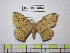  ( - BC-FMP-1862)  @13 [ ] Copyright (2010) Unspecified Research Collection of Frank Meister