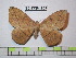  ( - BC-FMP-1863)  @13 [ ] Copyright (2010) Unspecified Research Collection of Frank Meister