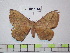  ( - BC-FMP-1864)  @13 [ ] Copyright (2010) Unspecified Research Collection of Frank Meister