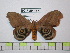  ( - BC-FMP-1877)  @13 [ ] Copyright (2010) Unspecified Research Collection of Frank Meister