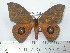  ( - BC-FMP-1982)  @14 [ ] Copyright (2010) Unspecified Research Collection of Frank Meister