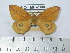  ( - BC-FMP-2000)  @11 [ ] Copyright (2010) Unspecified Research Collection of Frank Meister