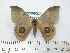  ( - BC-FMP-2001)  @14 [ ] Copyright (2010) Unspecified Research Collection of Frank Meister