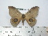  ( - BC-FMP-2003)  @14 [ ] Copyright (2010) Unspecified Research Collection of Frank Meister