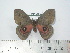  ( - BC-FMP-2005)  @12 [ ] Copyright (2010) Unspecified Research Collection of Frank Meister