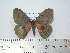  ( - BC-FMP-2006)  @12 [ ] Copyright (2010) Unspecified Research Collection of Frank Meister