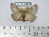  ( - BC-FMP-2029)  @11 [ ] Copyright (2010) Unspecified Research Collection of Frank Meister