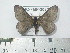  ( - BC-FMP-2032)  @13 [ ] Copyright (2010) Unspecified Research Collection of Frank Meister