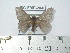  ( - BC-FMP-2040)  @13 [ ] Copyright (2010) Unspecified Research Collection of Frank Meister