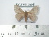  ( - BC-FMP-2041)  @13 [ ] Copyright (2010) Unspecified Research Collection of Frank Meister