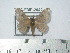  ( - BC-FMP-2042)  @12 [ ] Copyright (2010) Unspecified Research Collection of Frank Meister