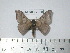  ( - BC-FMP-2050)  @11 [ ] Copyright (2010) Unspecified Research Collection of Frank Meister