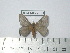  ( - BC-FMP-2051)  @13 [ ] Copyright (2010) Unspecified Research Collection of Frank Meister